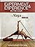Experiment and Experience on the Chair: The Yoga Way