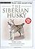 The Siberian Husky by Lorie Long