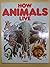 How Animals Live