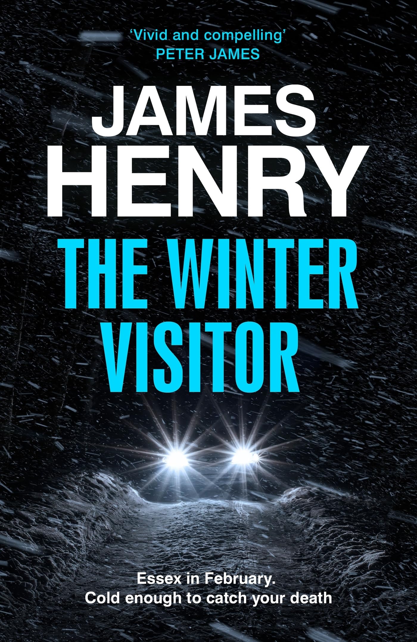 The Winter Visitor (Kindle Edition)