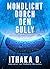 Mondlicht durch den Gully: ...