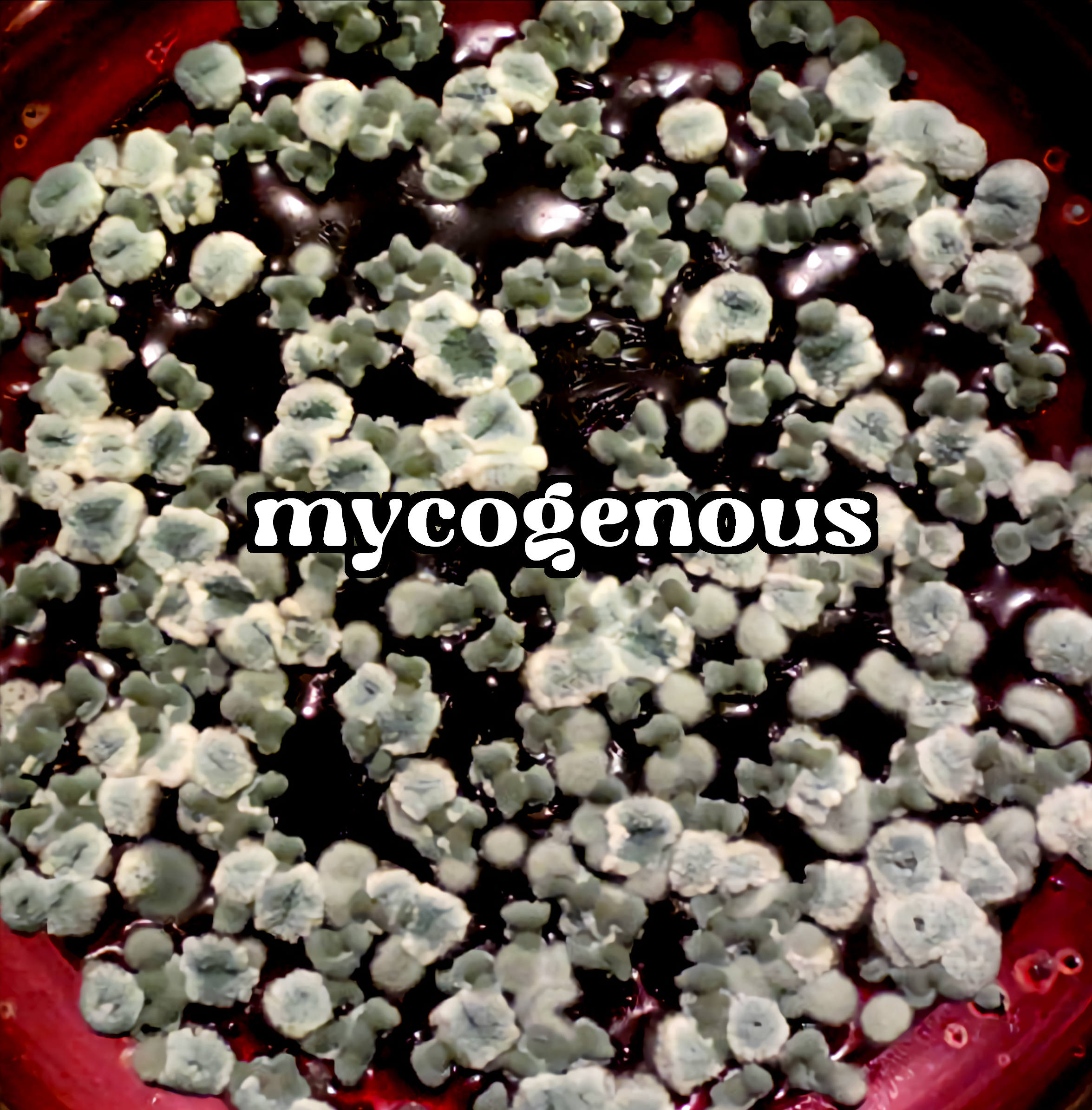 Mycogenous (Hardcover)