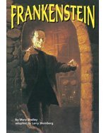 Frankenstein by David W Moore (2005-08-23)