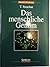 Das menschliche Genom by Tom Strachan