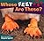 Whose Feet are These? (Whose....is This?) (Paperback) - Common