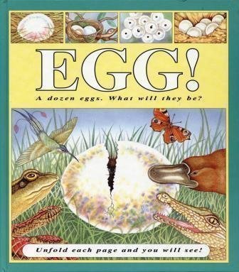 Egg! (Hardcover)