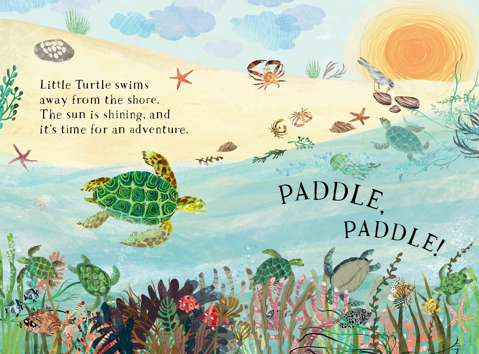 Little Turtle's Book of the Blue (Big Book of...)