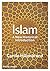 Islam: A New Historical Introduction