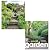 Secret gardeners, new small...