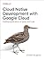 Cloud Native Development with Google Cloud: Building Applications at Speed and Scale
