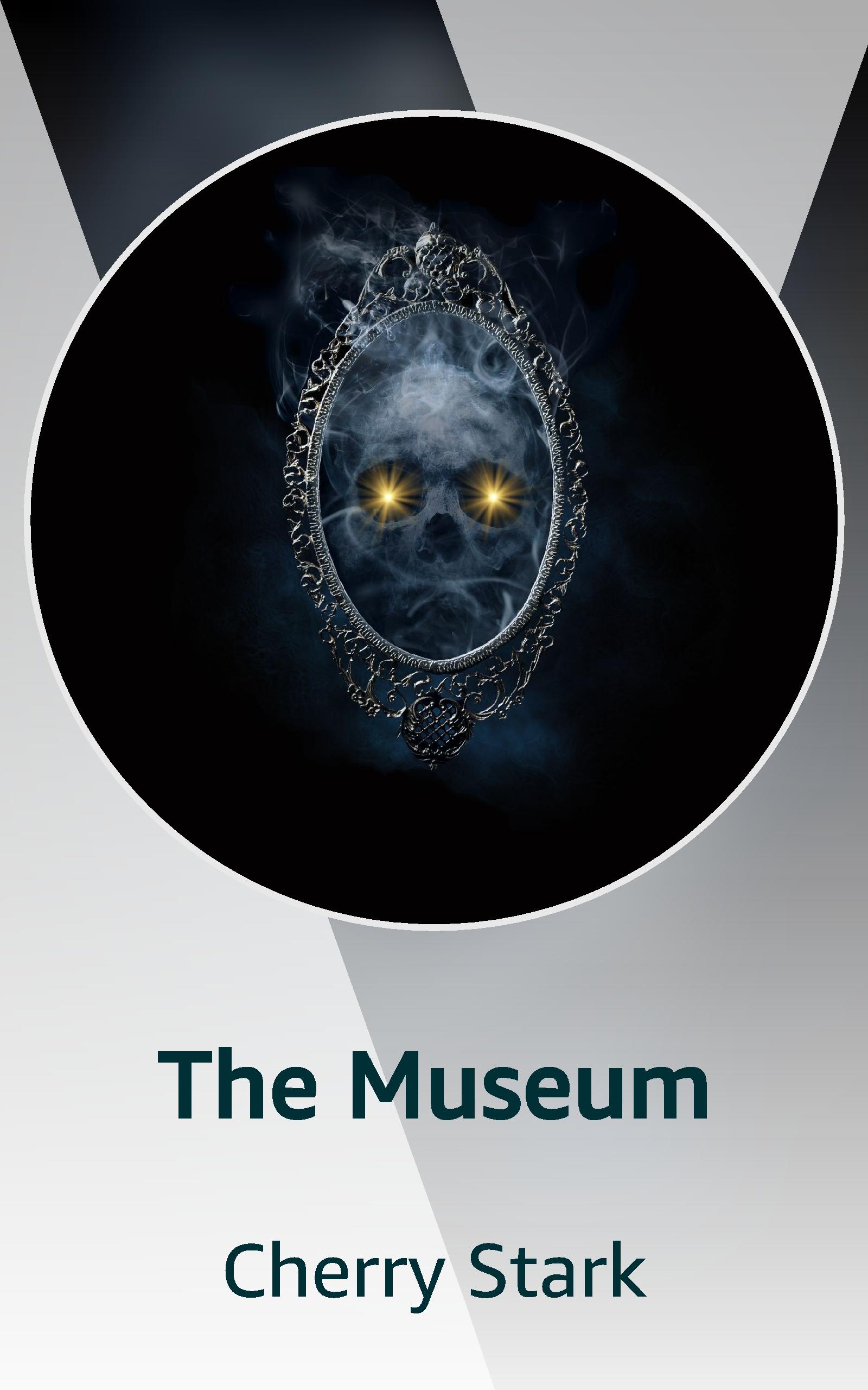 The Museum (Kindle Edition)