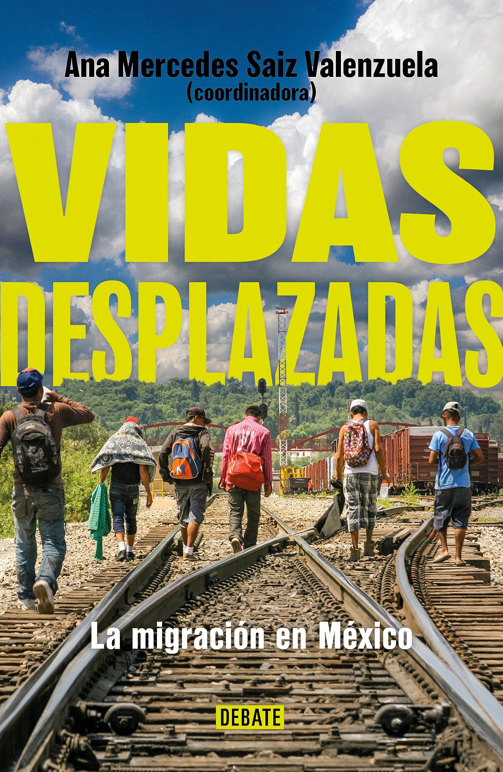 Vidas desplazadas: La migración en México / Displaced Lives. The History of Migration in Mexico (Spanish Edition)