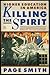 Killing the Spirit: Higher Education in America