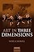 Art in Three Dimensions by Noel Carroll (2010-09-10)
