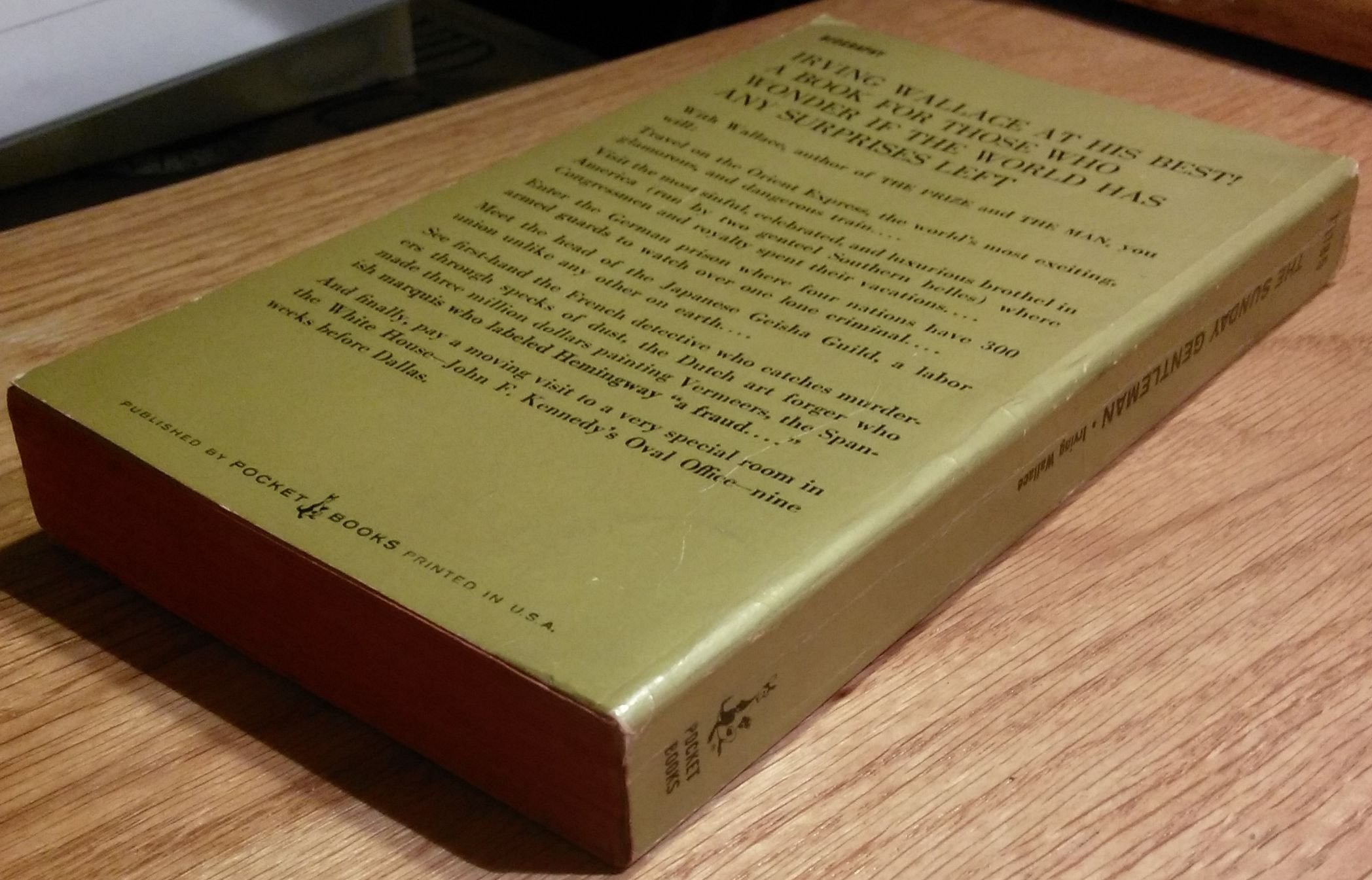 SUNDAY GENTLEMAN (Paperback)