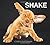 Shake by Davidson, Carli (2013) Hardcover