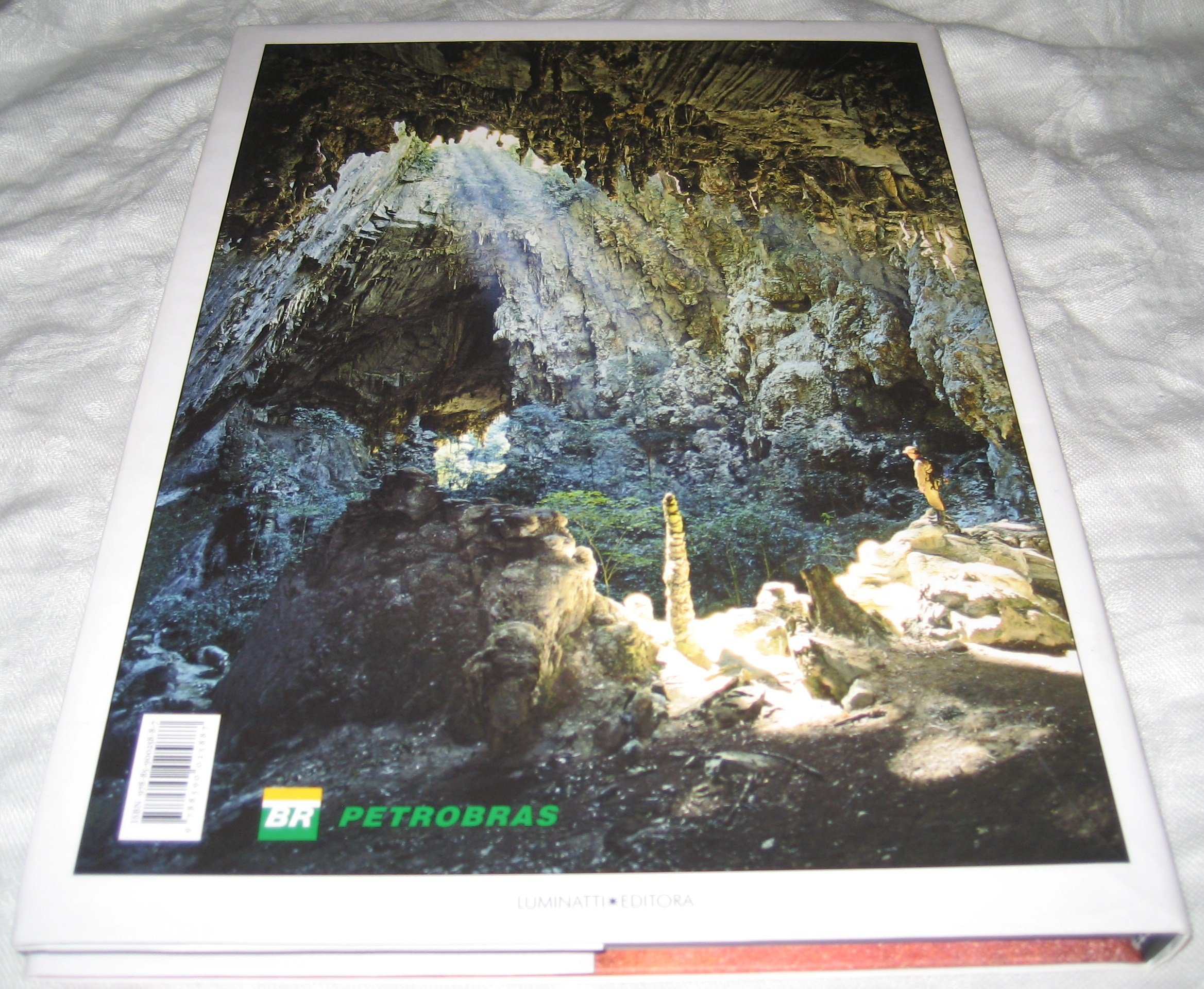 Brasil Geologico =: Geological Brazil (Hardcover)