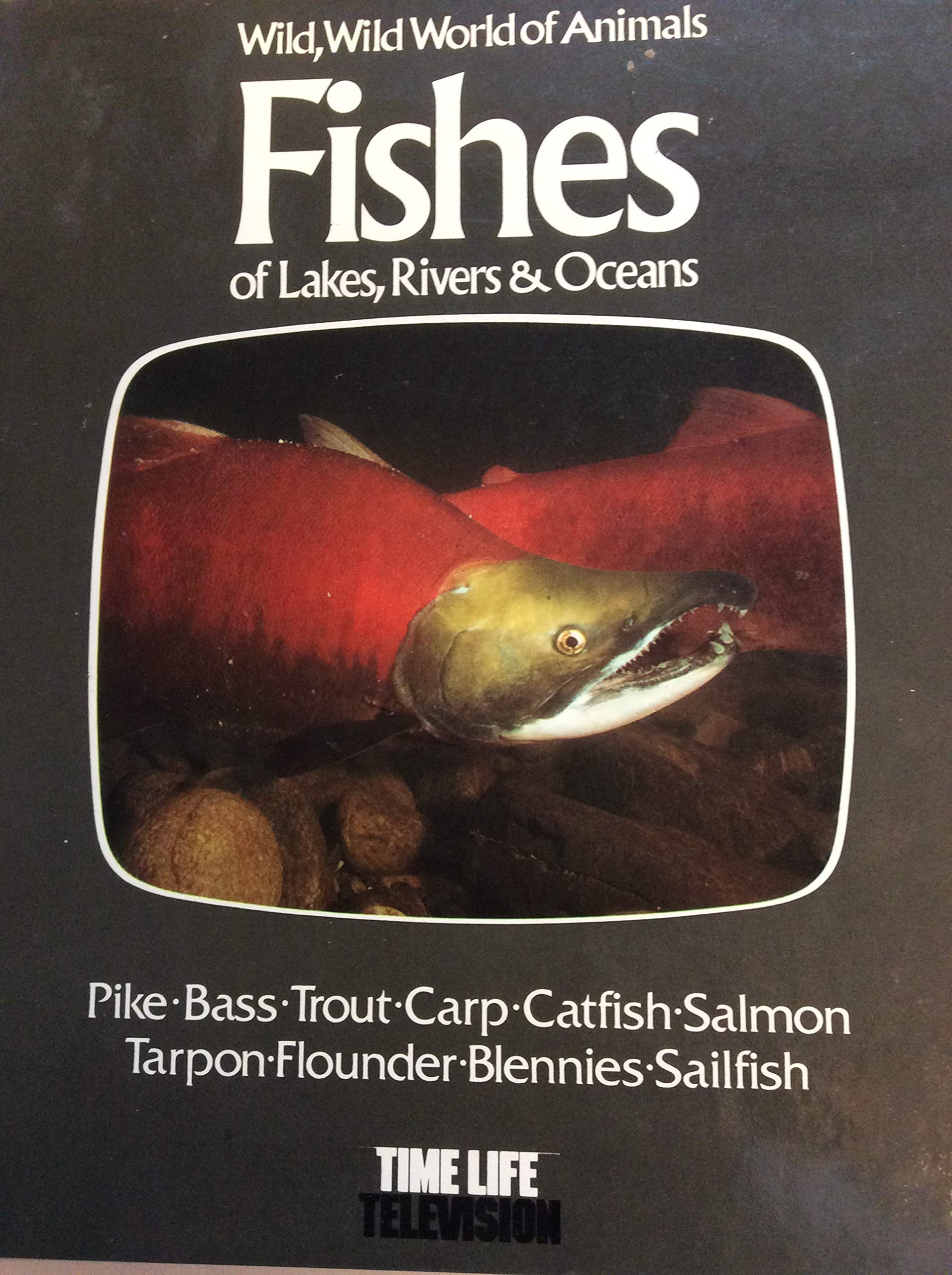 Fishes of Lakes Rivers and Oceans: Based on the Television Series Wild, Wild World of Animals (Library Binding)
