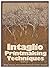 Intaglio Printmaking Techniques by Ruth Leaf (1976-08-02)
