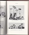 The North American Species of Pholiota