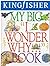 My Big "I Wonder Why" Book