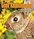 Good Rabbitkeeping (Good Petkeeping) by Sue Fox (2008-09-01)