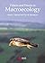 Pattern and Process in Macroecology by Kevin Gaston (2000-11-02)
