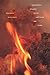 Seasonal Works with Letters on Fire (Wesleyan Poetry) by Brenda Hillman (2014-09-09)