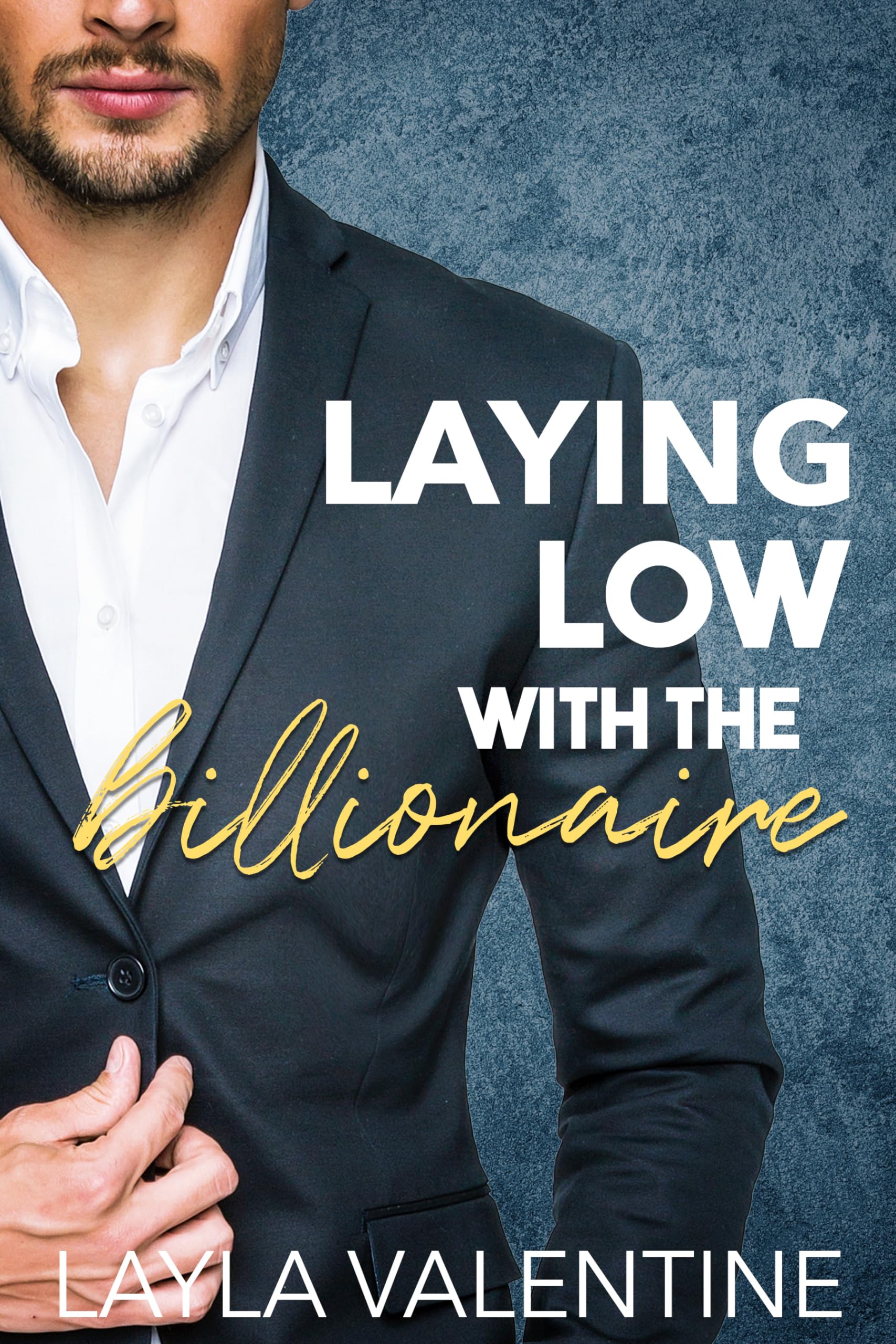 Laying Low With The Billionaire (Olympus City Hunks)