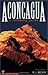 Aconcagua: A Climbing Guide by R.J. Secor (1999-10-01)
