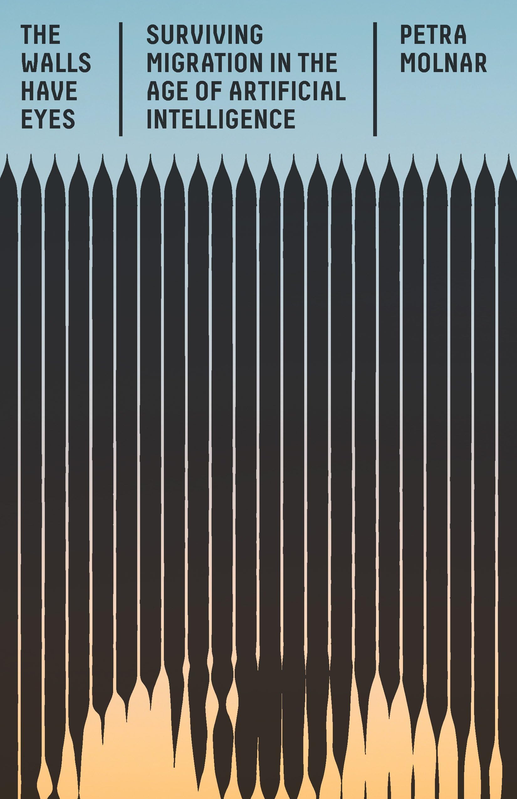 The Walls Have Eyes: Surviving Migration in the Age of Artificial Intelligence (Hardcover)