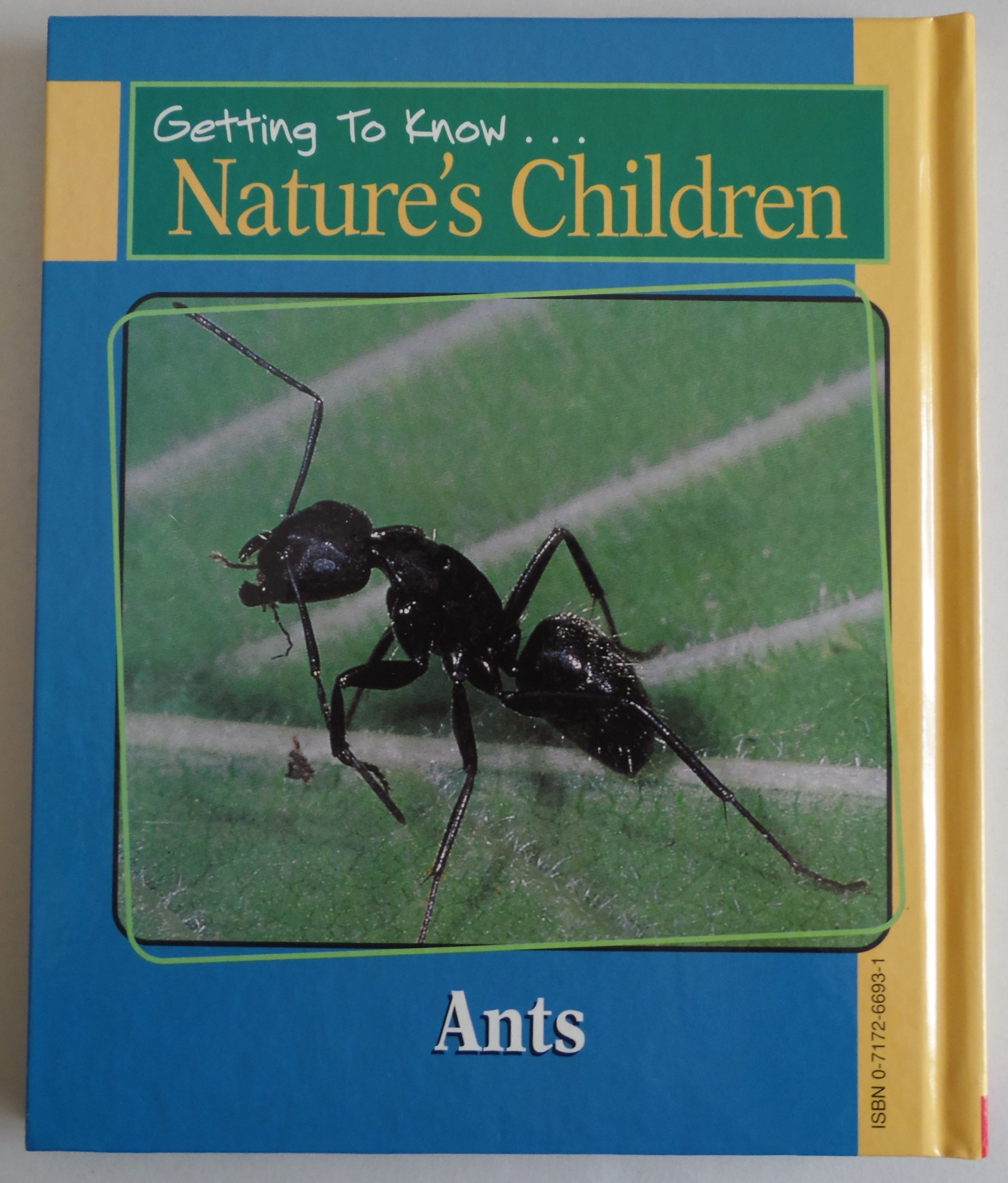 Gorillas / Ants (Getting To Know... Nature's Children)