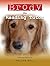 Brody the Reading Tutor by Megan Bell (2013-04-01)