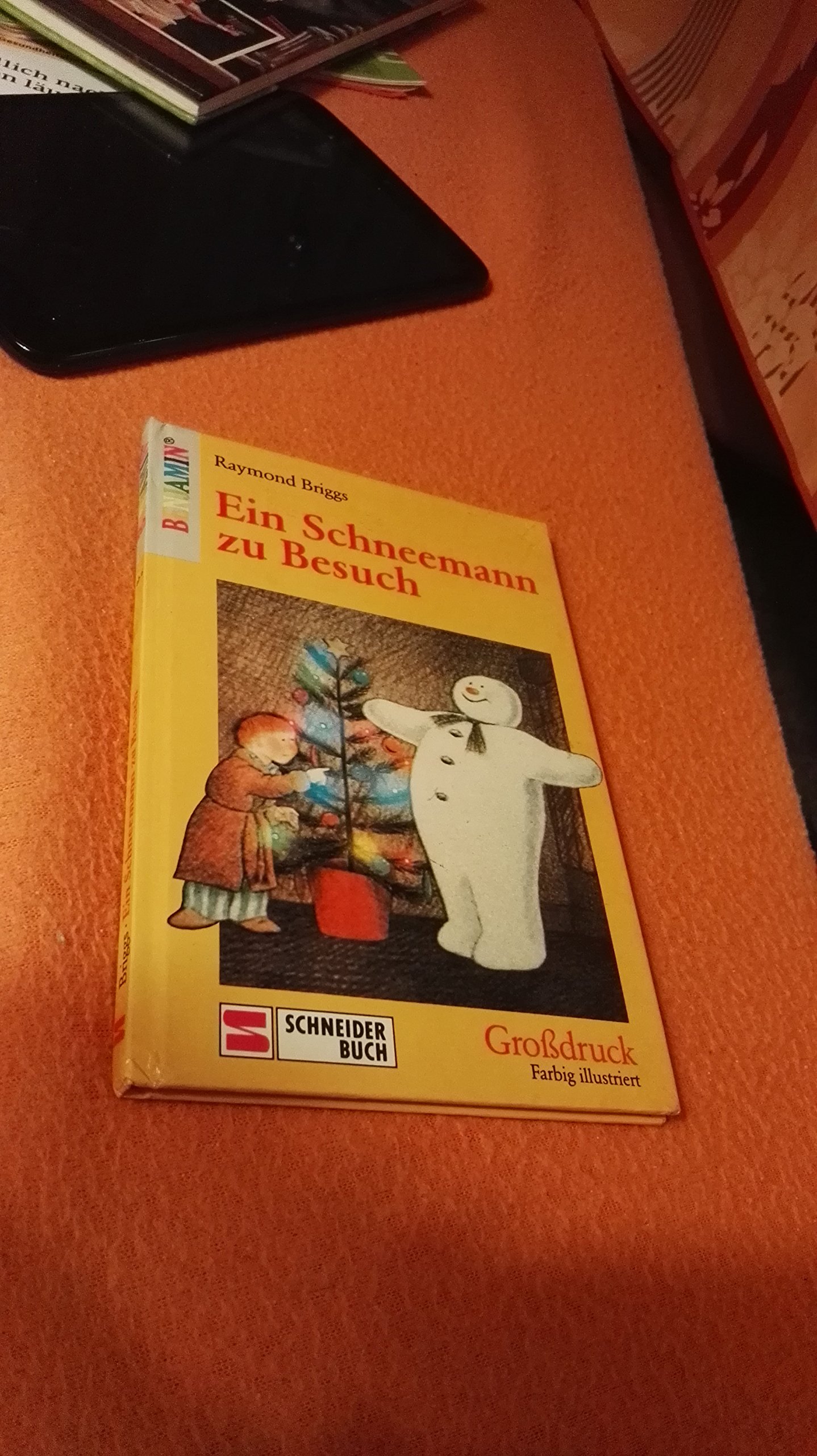 Ein Schneemann zu Besuch. ( Ab 6 J.)