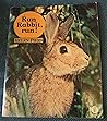 Run Rabbit Run