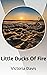 Little Ducks Of Fire