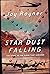 Star Dust Falling: The Story of the Plane That Vanished