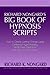 Richard Nongard's Big Book of Hypnosis Scripts: How to Create Lasting Change Using Contextual Hypnotherapy, Mindfulness Meditation and Hypnotic Phenomena by Richard Nongard (22-Oct-2012) Paperback