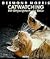 Catwatching