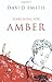 Searching for Amber by David Smith (1-Apr-2014) Paperback