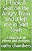 I Took A Seat on the Angry Train and it left me in Sad Town by Cathy Chambers