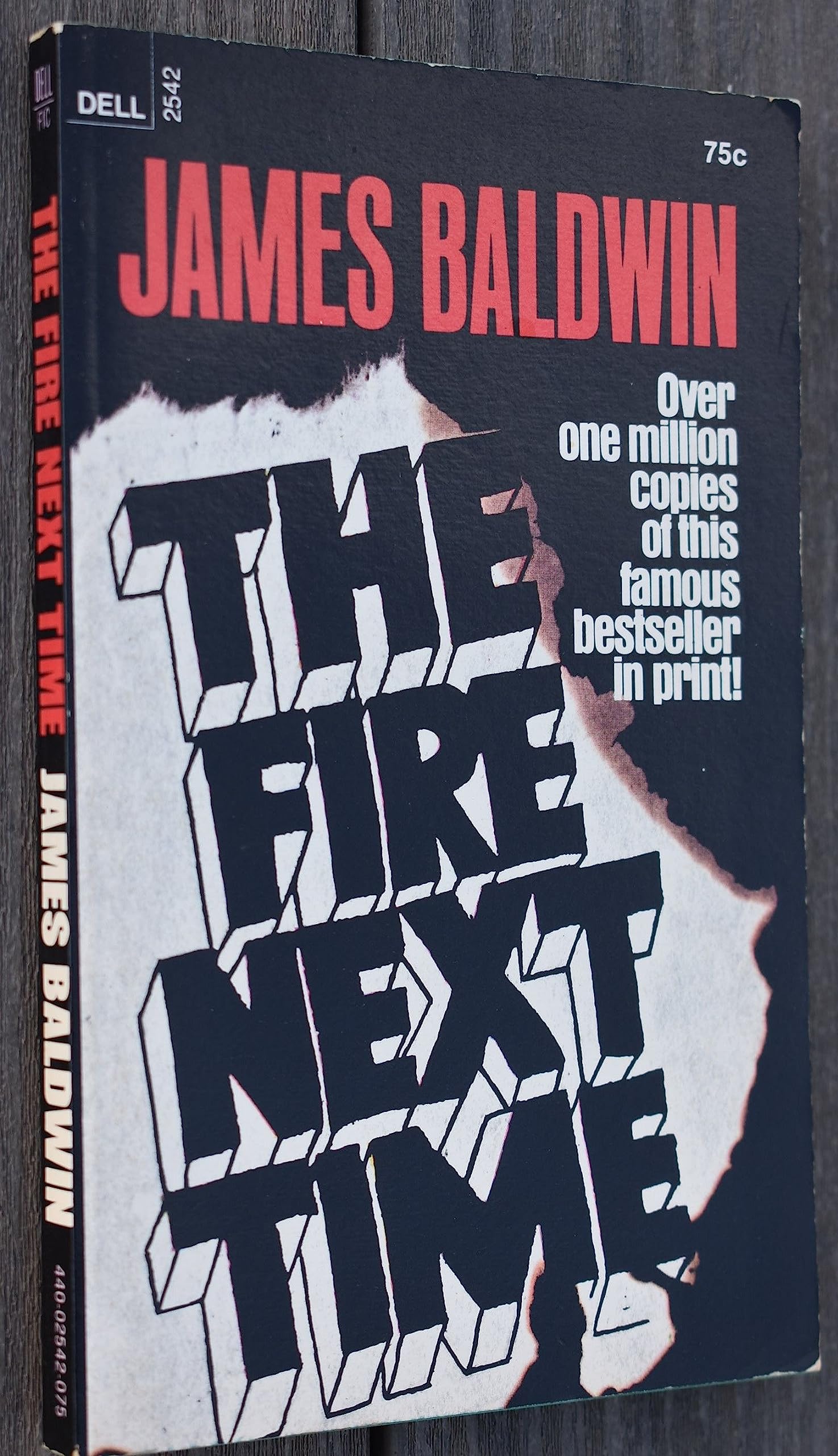 The Fire Next Time