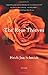 The Rose Thieves: Stories by Heidi Jon Schmidt (2003-10-01)