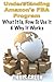 Understanding Amazon's FBA Program - What It Is, How To Use It, & Why It Works by Mr. Chris Green (2012-02-01)
