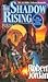 The Shadow Rising (The Wheel of Time, Book 4) 1st (first) edition Text Only