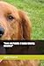 "Paws and Palette: A Canine...