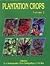 Plantation Crops Volume 2 (2)