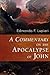 A Commentary on the Apocalypse of John (Italian Texts and Studies on Religion and Society) by Edmondo F. Lupieri (2006-11-09)