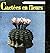 Cactees en fleurs - 40 - pl...