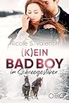 (K)ein Bad Boy im Schneegestöber (Bad Boy Stories 1) (German Edition)